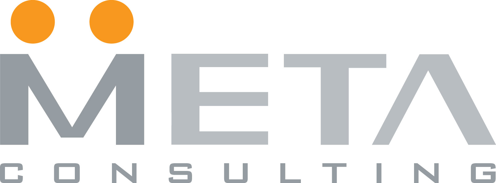 Meta Consulting Learning Management System 